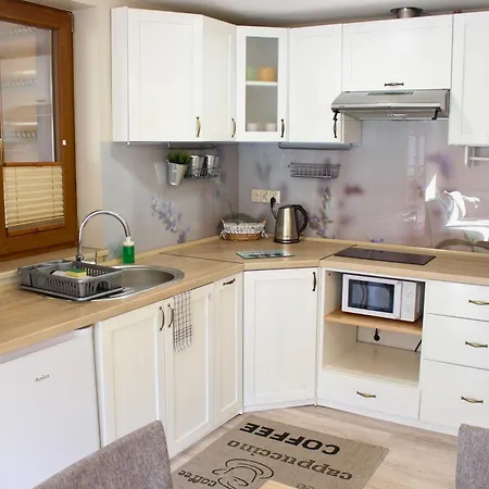 Pod Niedzwiedziem Ii Apartman Zakopane